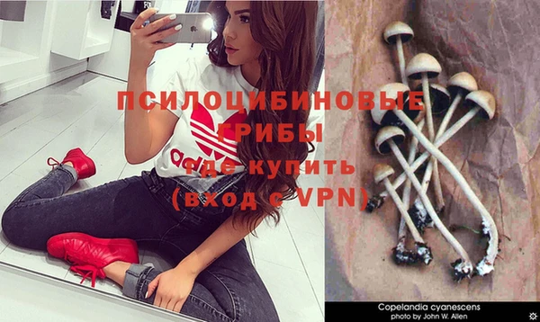 таблы Алексеевка