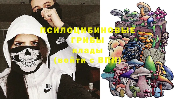 дживик Алзамай