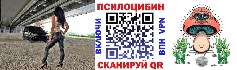 Псилоцибиновые грибы Cubensis Уссурийск