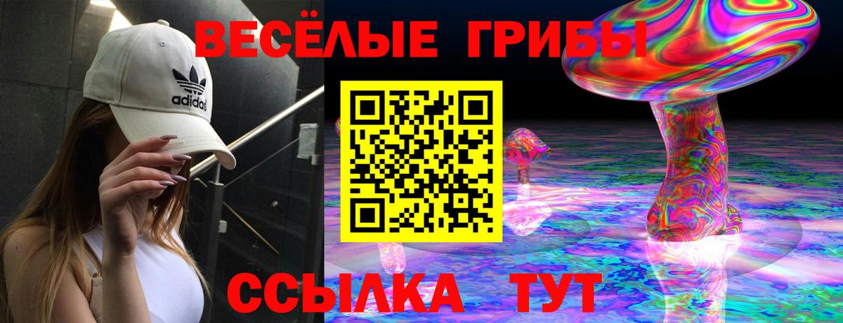 Галлюциногенные грибы Cubensis Уссурийск